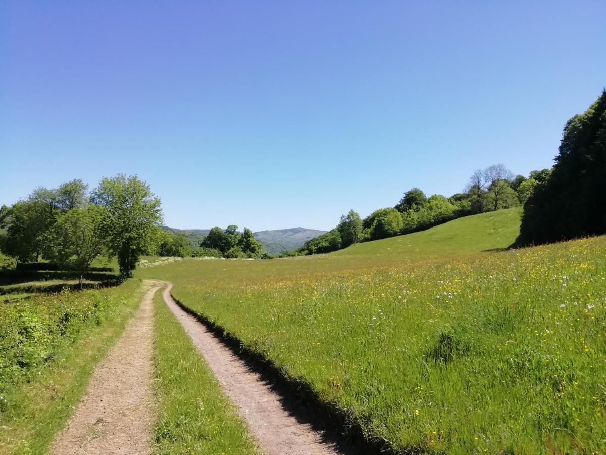 Maison A La Campagne Au Coeur Du Cantal Dept 15 Marmanhac المظهر الخارجي الصورة